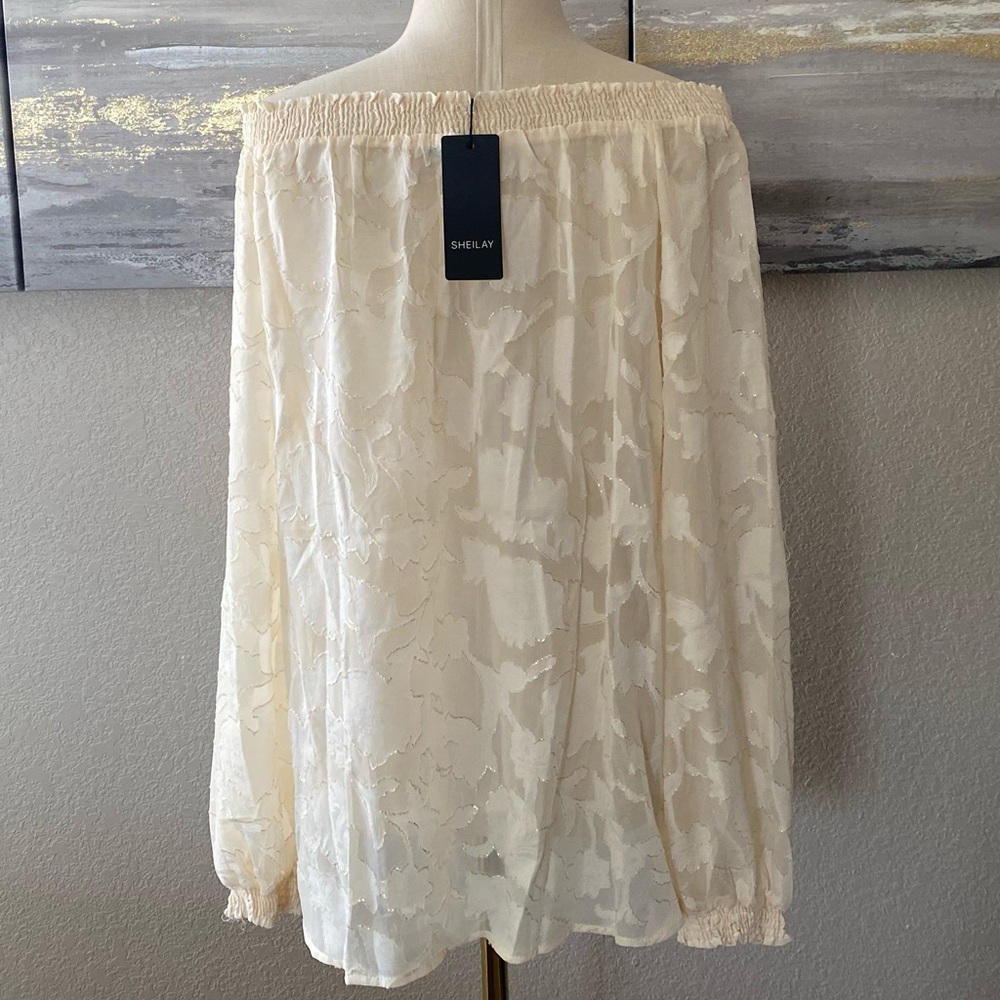 Sheer Blouse - Picture 2 of 5